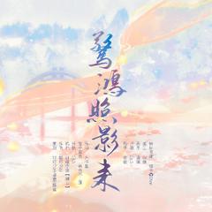 惊鸿照影来