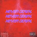 Never Down