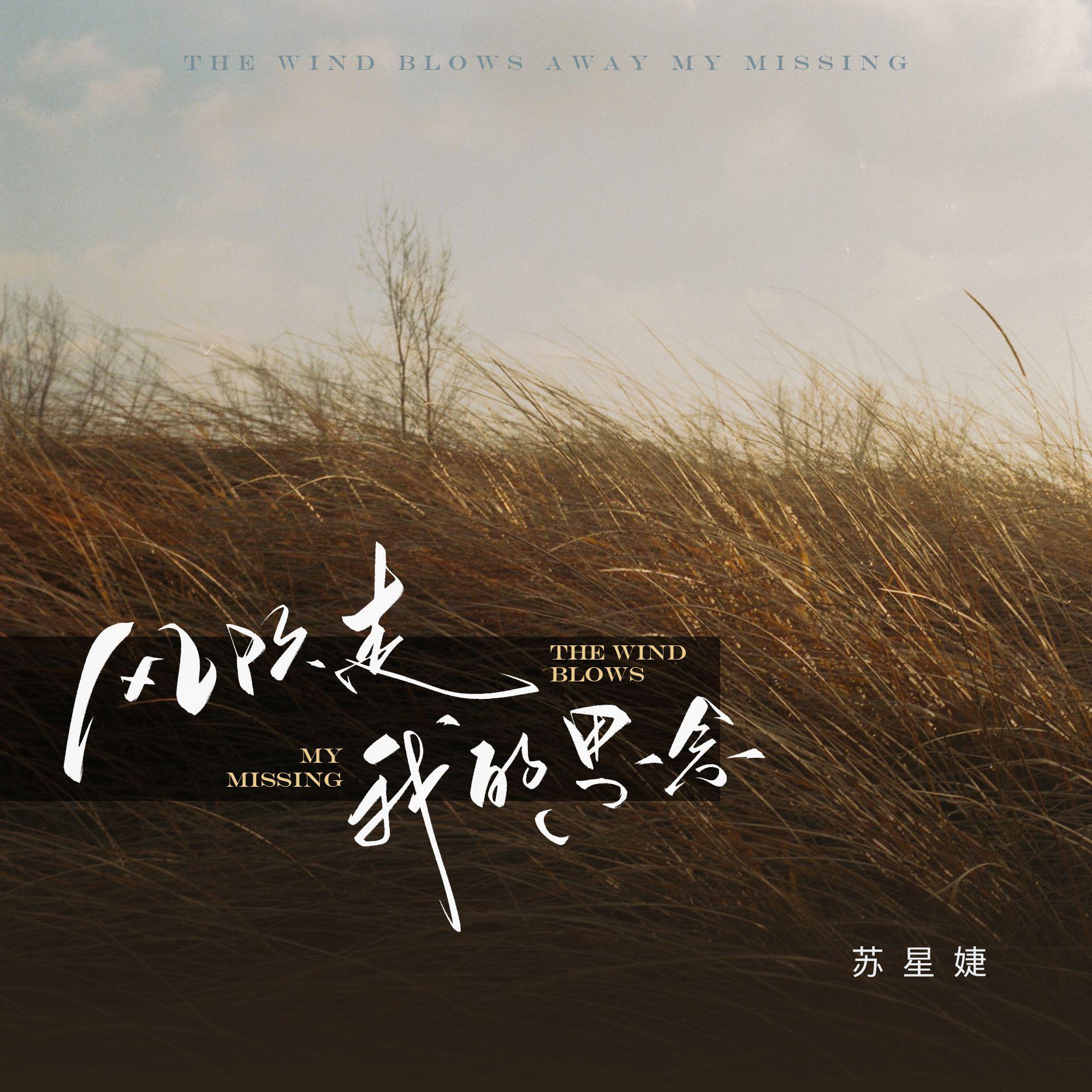 风吹走我的思念（校园广播版）