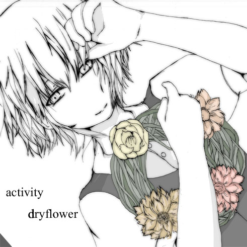 dryflower