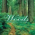 A Walk in the Wood: Relaxing Piano and Strings