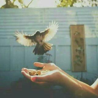 我还是很喜欢你，像风走了八千里，不问归期