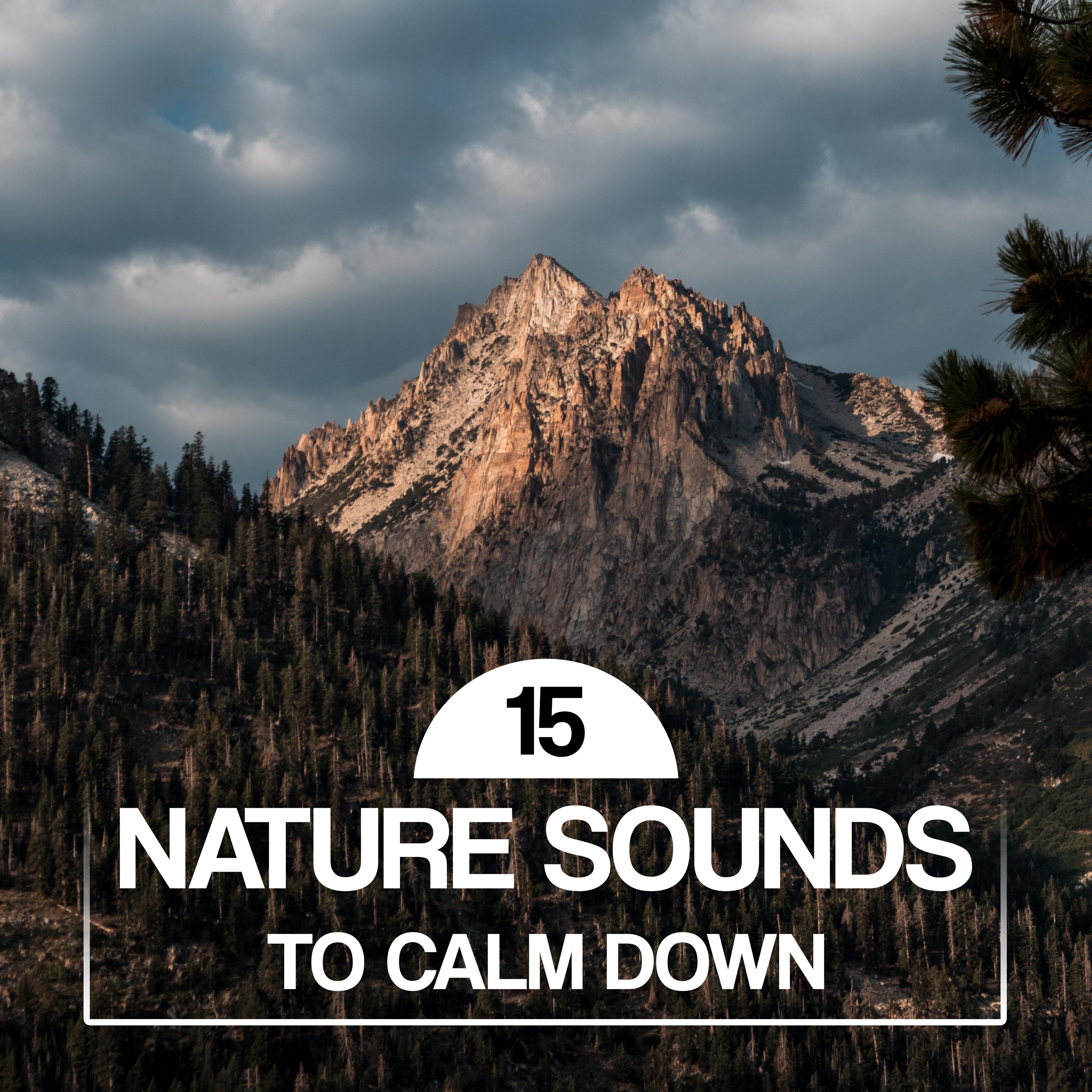 15 Nature Sounds to Calm Down专辑