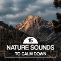 15 Nature Sounds to Calm Down专辑