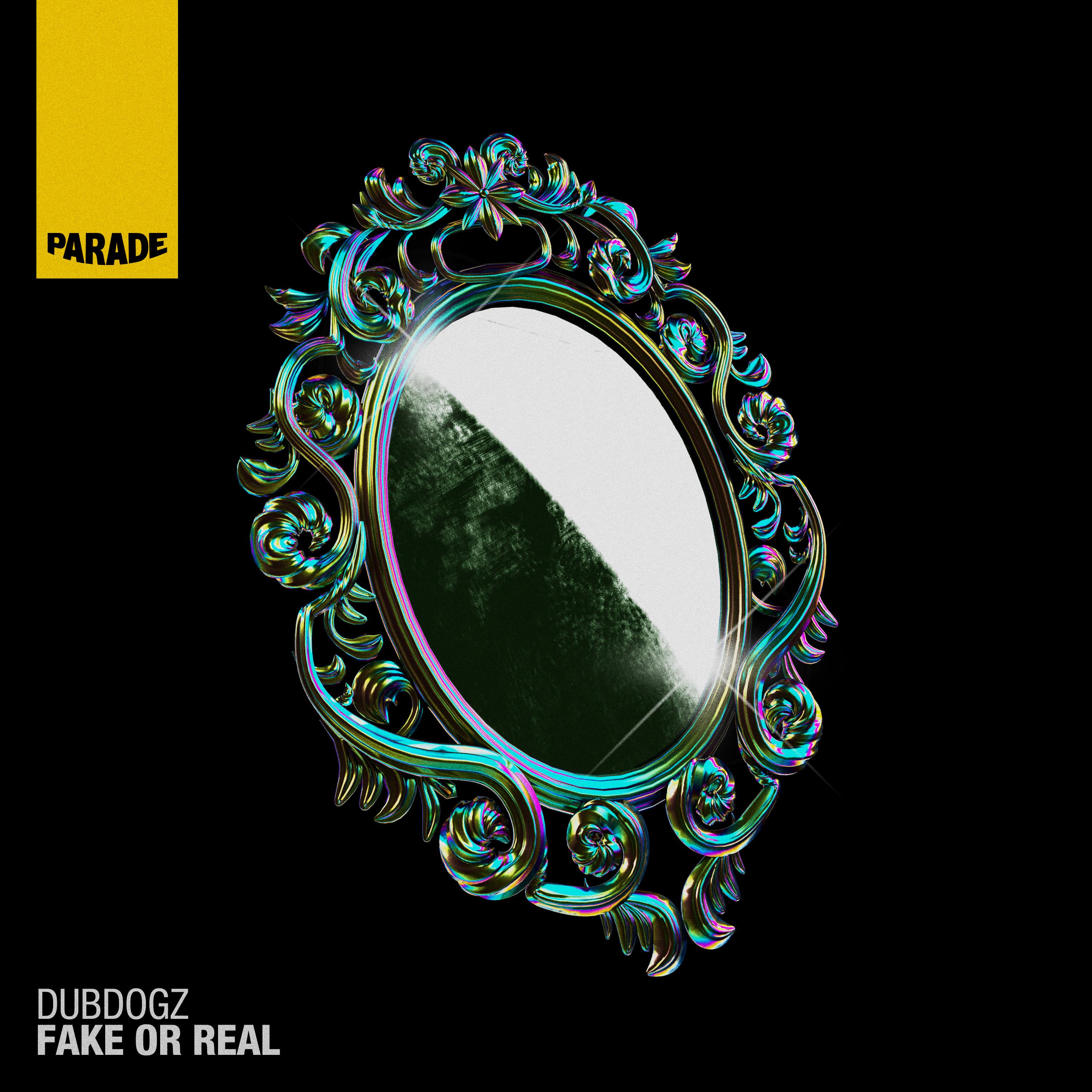 Fake or Real