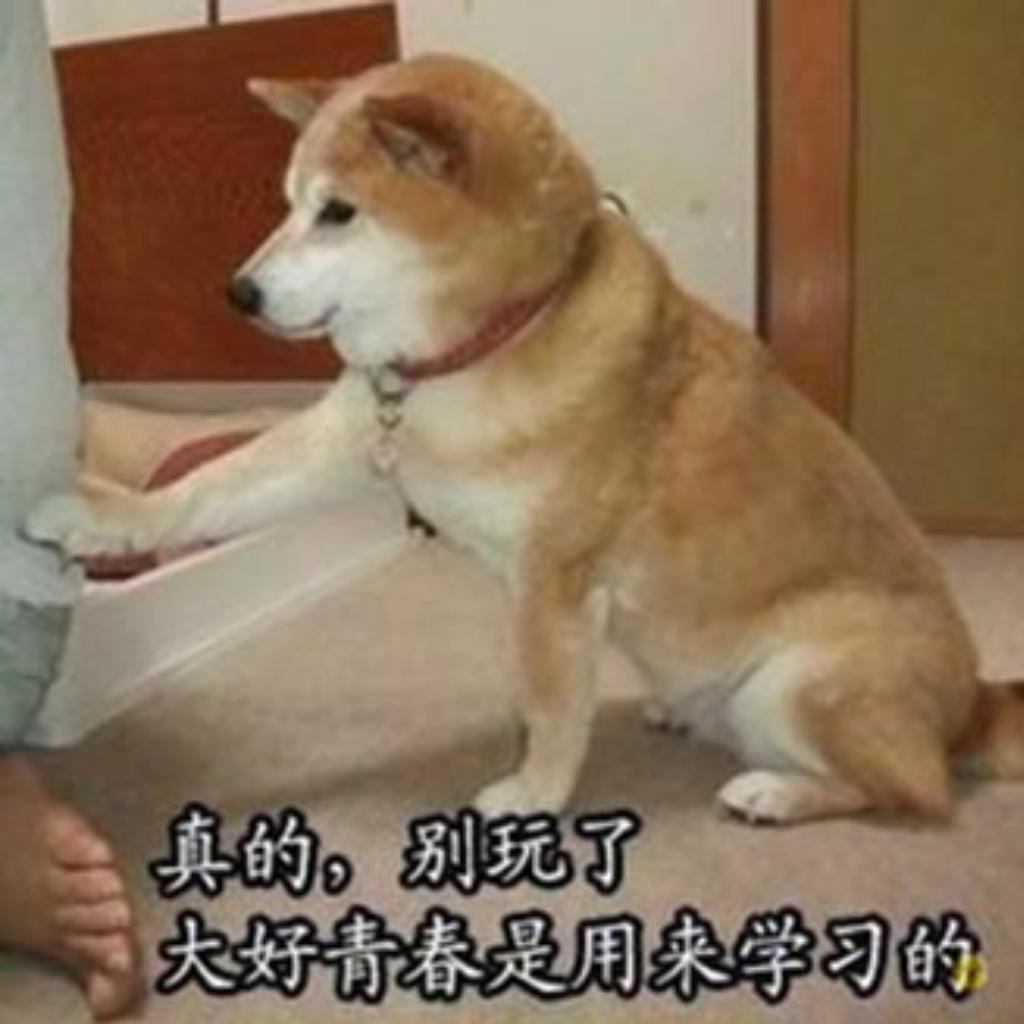 人教版八下语文背书歌单[更新]