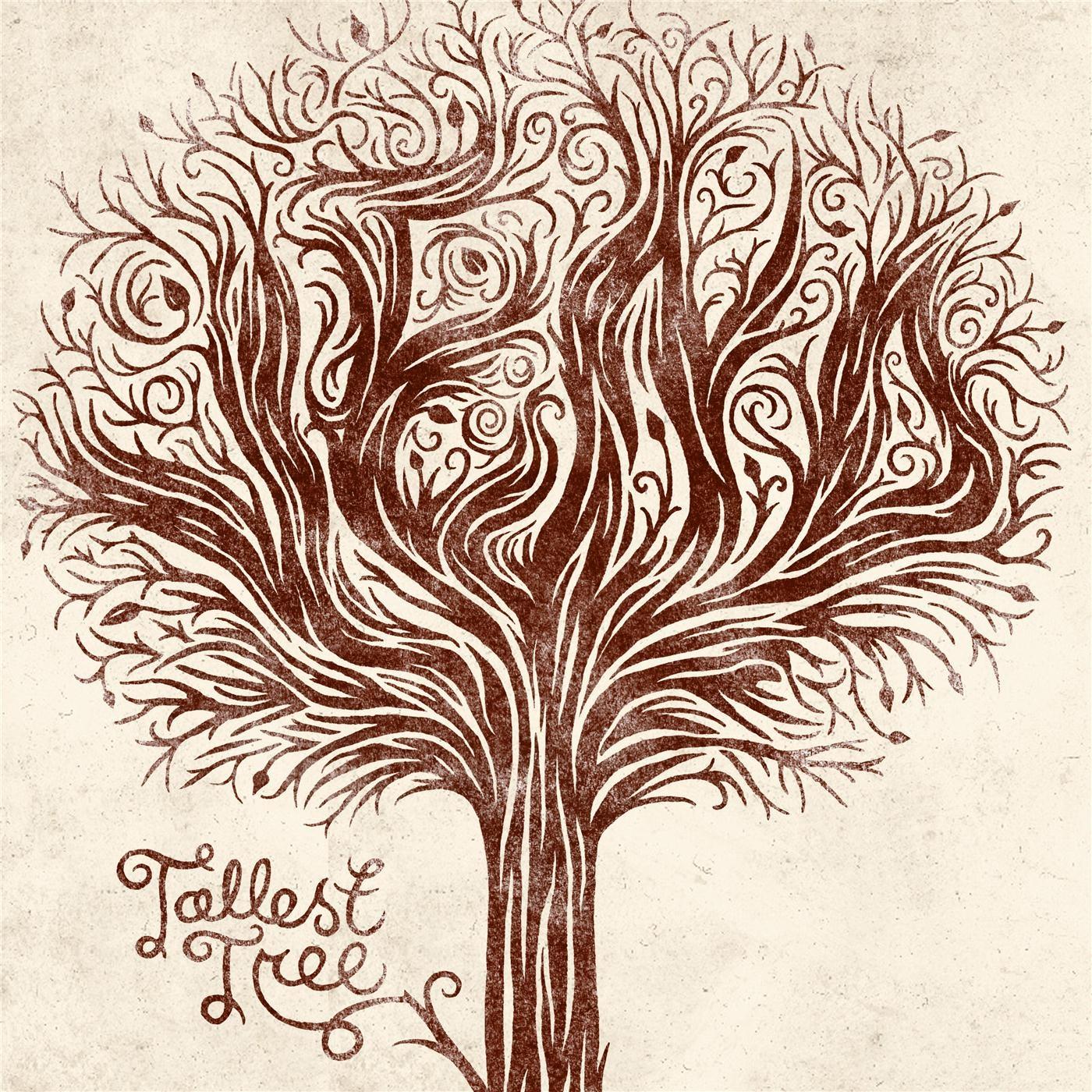 Tallest Tree