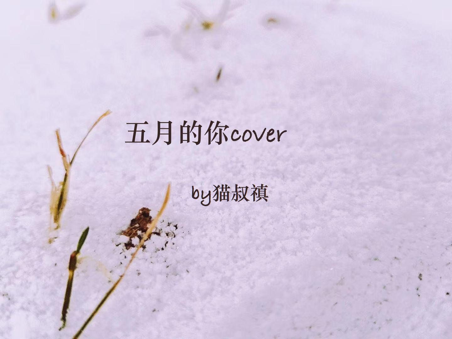 五月的你cover专辑