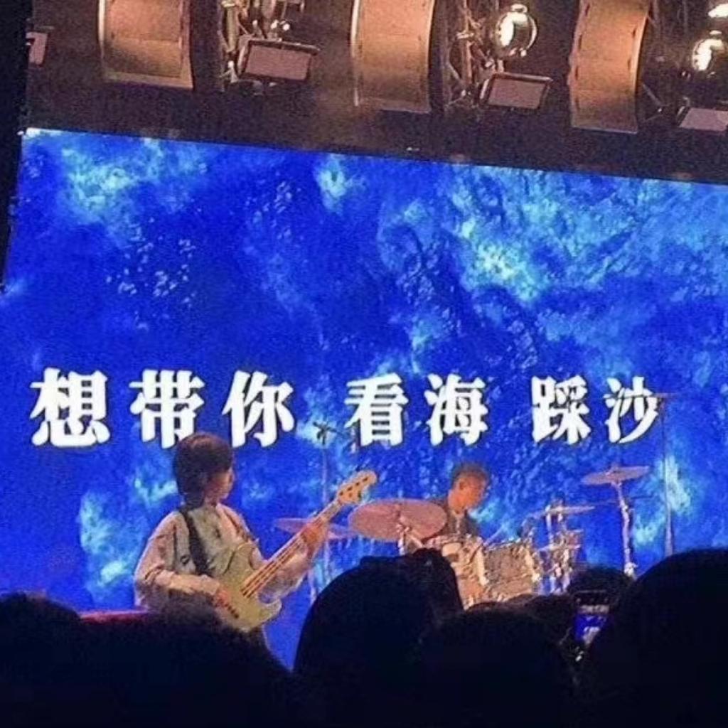 华语经典摇滚｜放肆宣泄这该死的青春