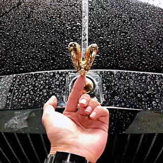 经典舞曲——100年都爱