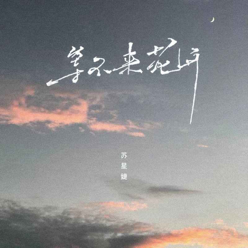 等不来花开
