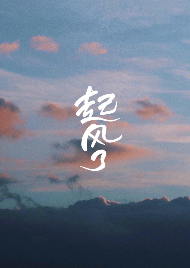 起风了~专辑