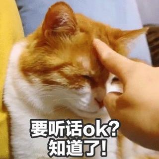 [轻音乐]减压睡眠