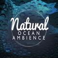 Natural Ocean Ambience