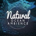 Natural Ocean Ambience专辑