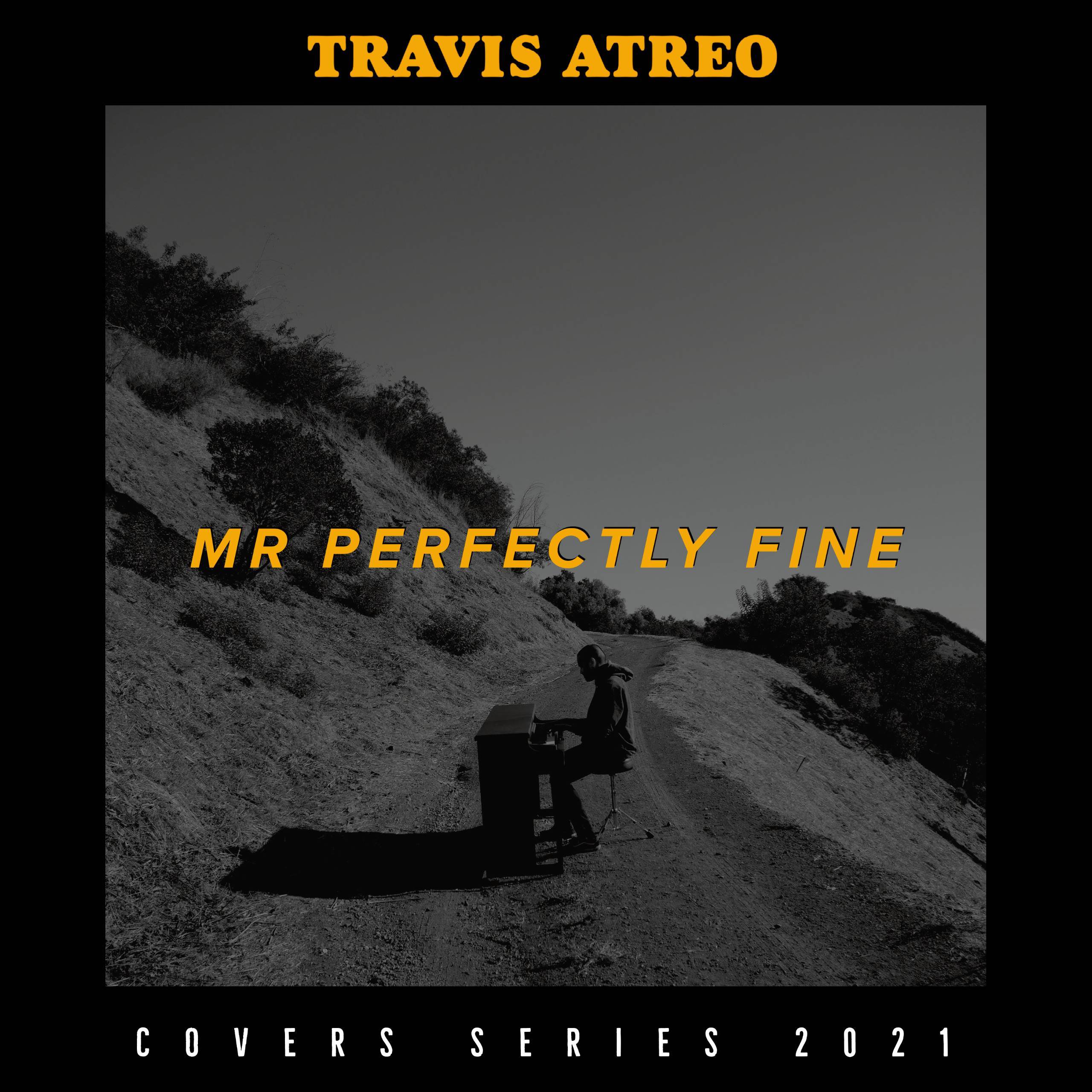 Mr. Perfectly Fine