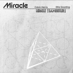 Calvin Harris-Miracle（C.A.i remix）