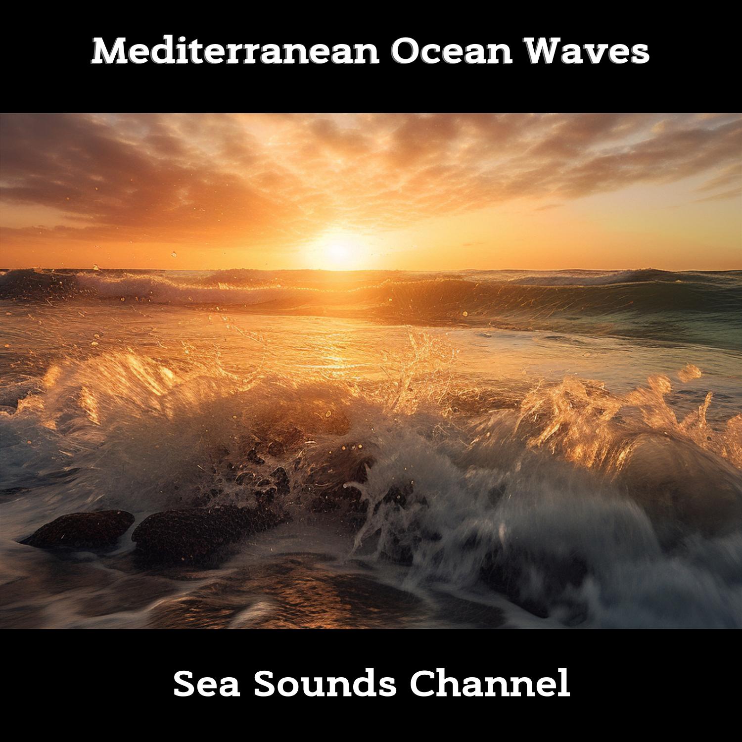 Sea Sounds Channel - Waves up Close