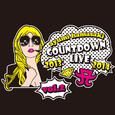 ayumi hamasaki COUNTDOWN LIVE 2013-2014 A ～setlist original ver. vol.2～