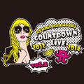 ayumi hamasaki COUNTDOWN LIVE 2013-2014 A ～setlist original ver. vol.2～