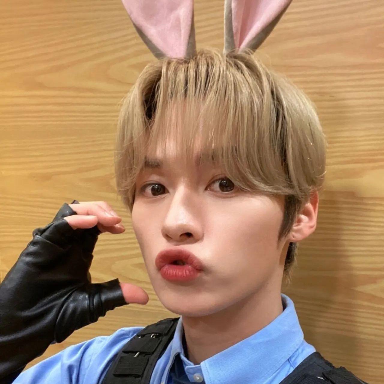 Cle1：MIROH