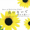 负けないで・揺れる想い~坂井泉水 追悼オルゴール集专辑