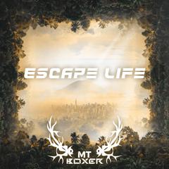 Enrique Iglesias-Escape life（MT Boxer remix）