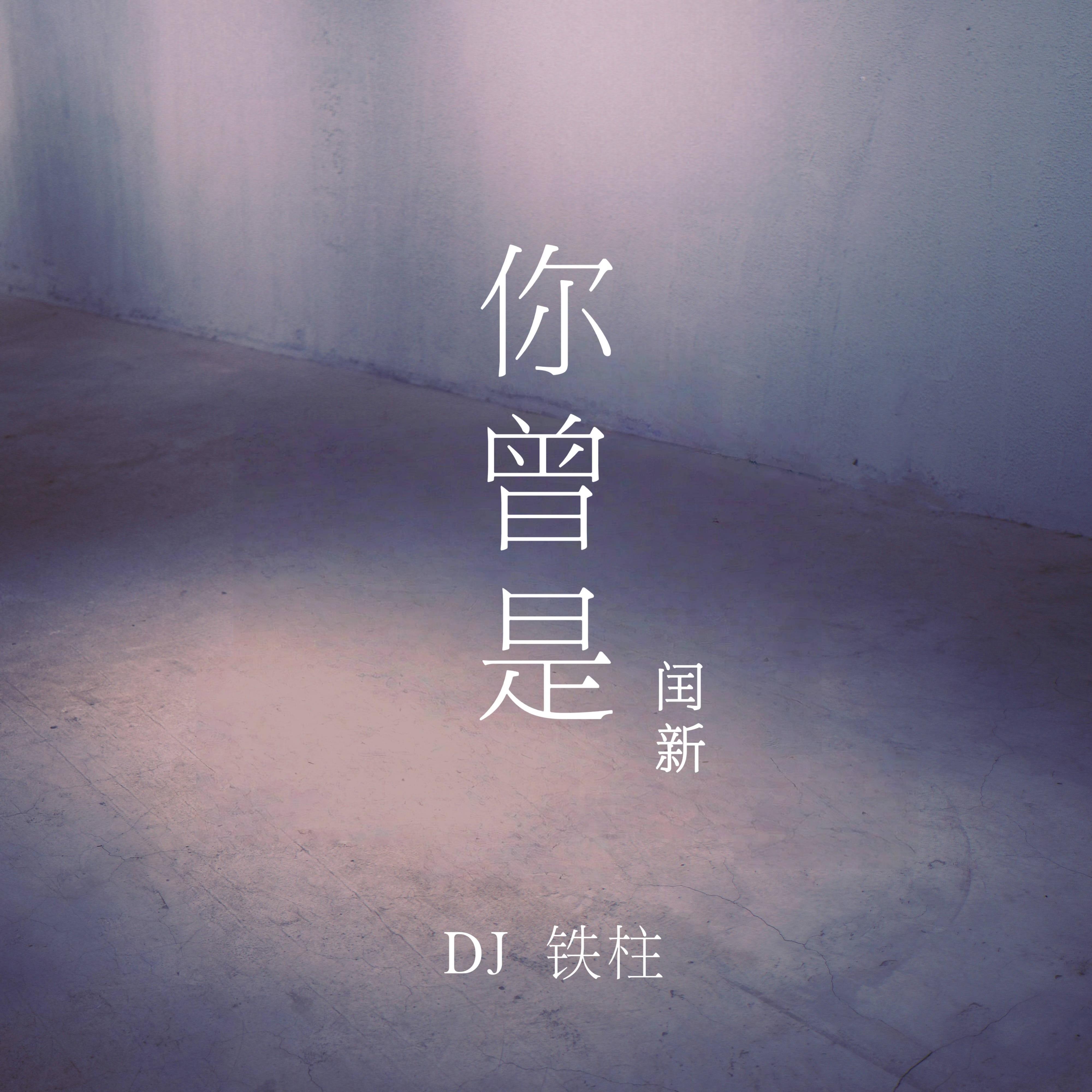 你曾是（DJ铁柱版）