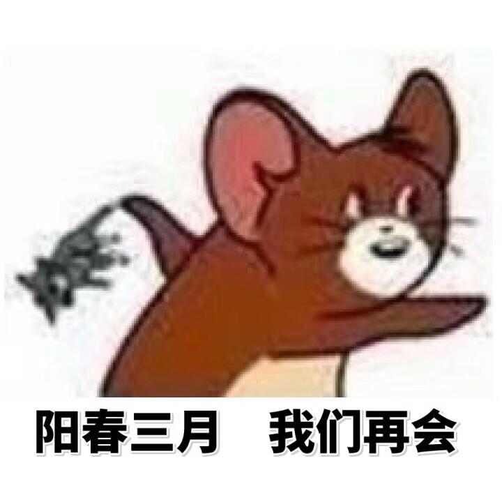 骚年，单身是美德啊专辑