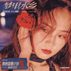 梦里水乡 (青春重置计划5 请回答1999)