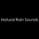 0nly the Best Rain Sounds专辑