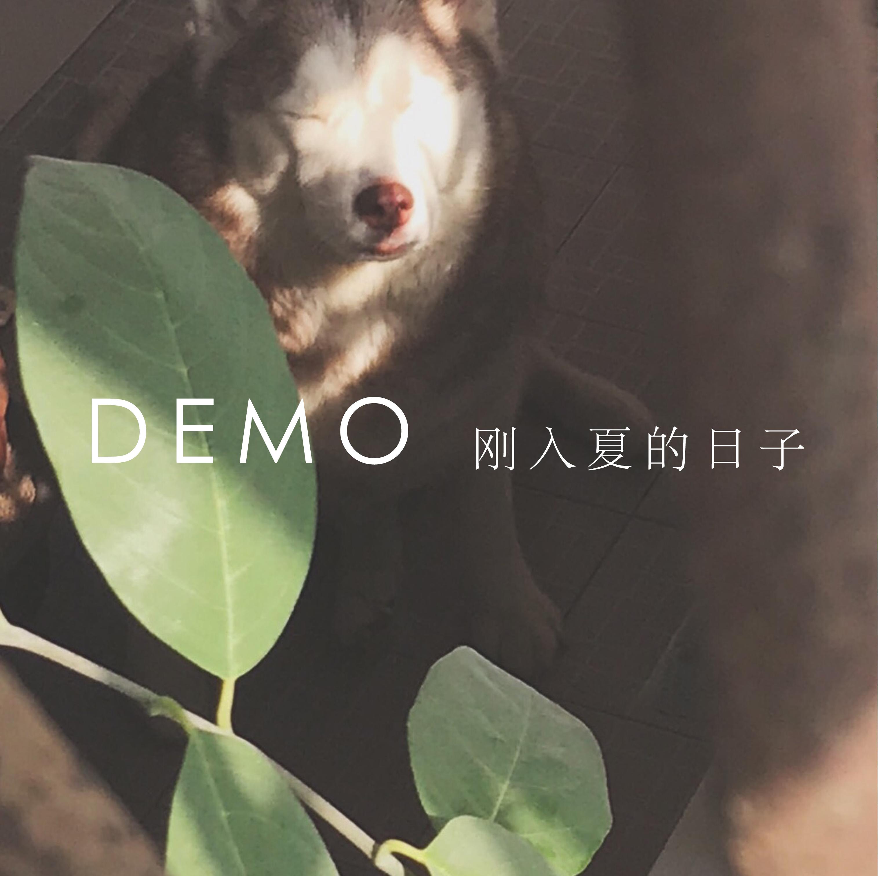 刚入夏的日子 Demo专辑