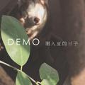 刚入夏的日子 Demo