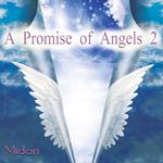 A Promise of Angels 2专辑