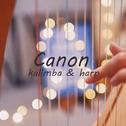 卡农Canon专辑