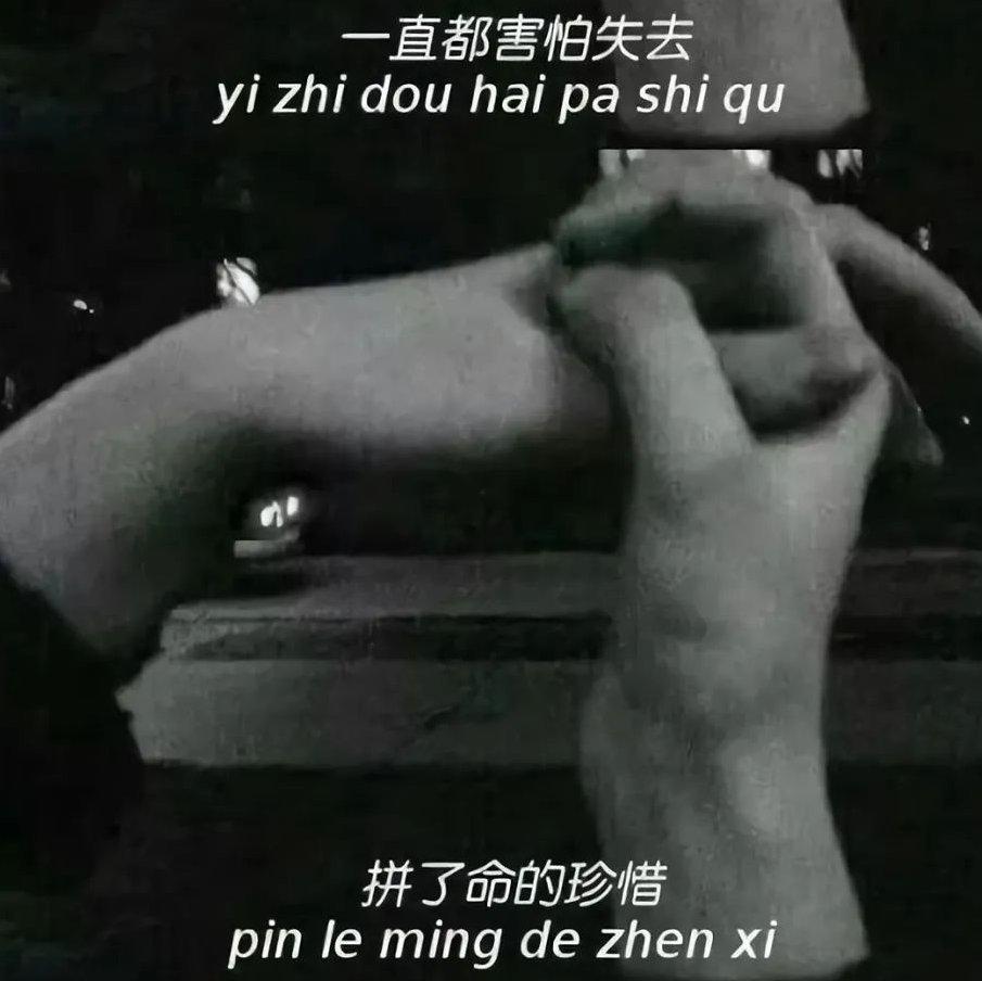 比起会开的话我更喜欢有结果的树