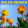 Albin - Din soldat