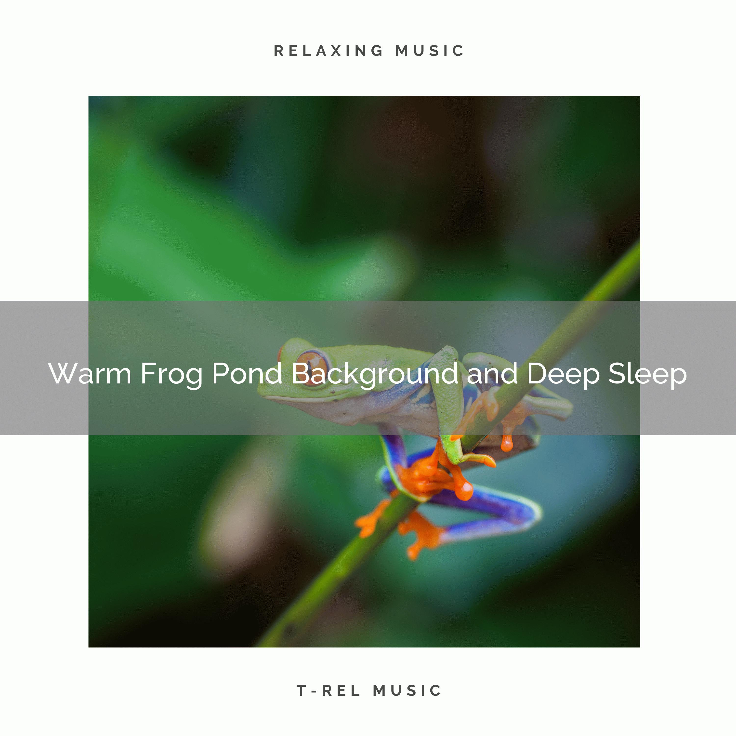 Ultimate Frog Pond Background and Sleep