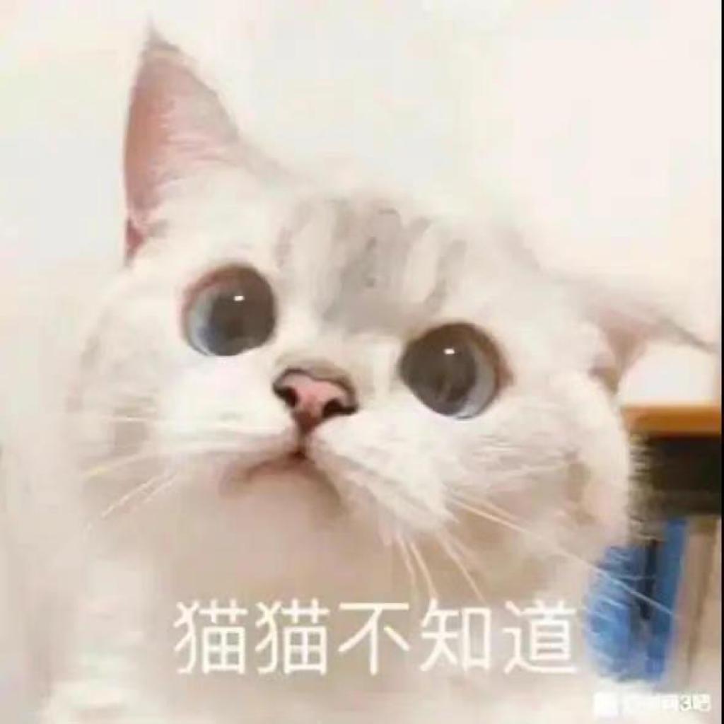 Tiamo 法文歌单