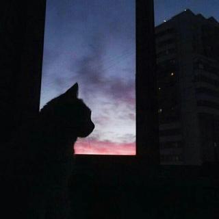 一首纯音乐，也能安抚你那脆弱不堪的灵魂
