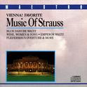 Vienna! Favorite Music Of Strauss专辑