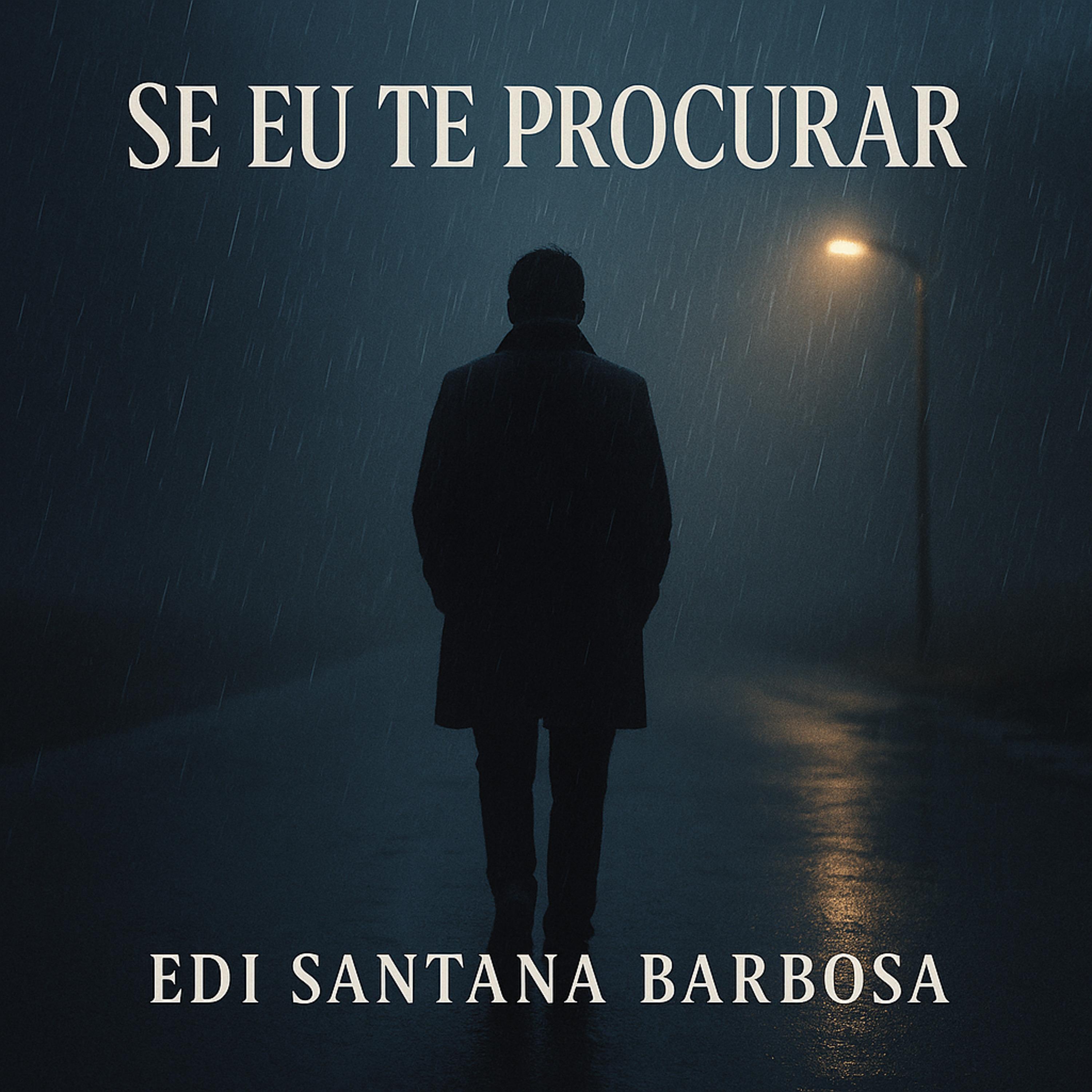 Se Eu Te Procurar