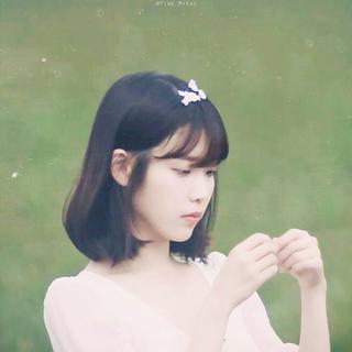 治愈韩语•八月，我把自己藏进花里