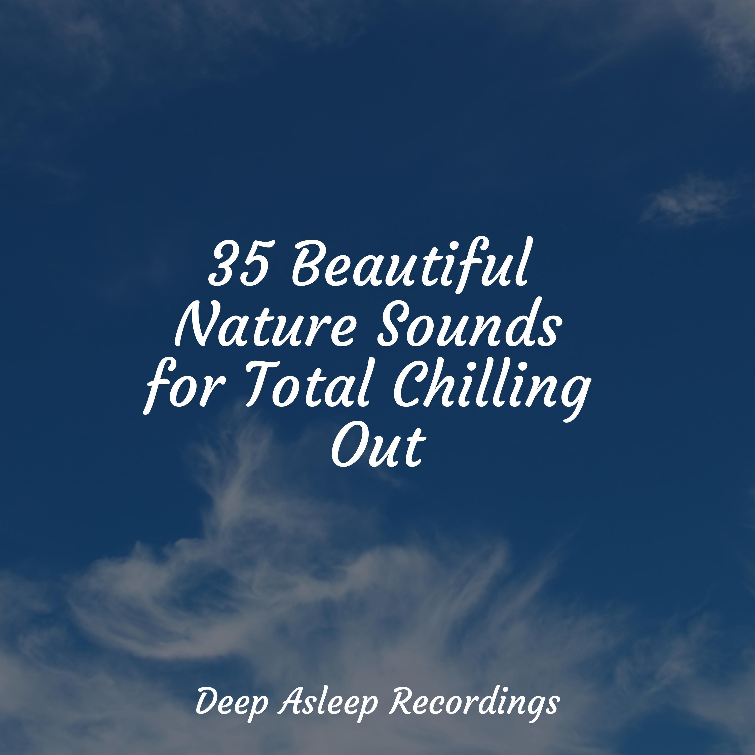 song of the trees - meditation music club/deep sleep music delta