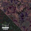 Thief (Remixes)专辑