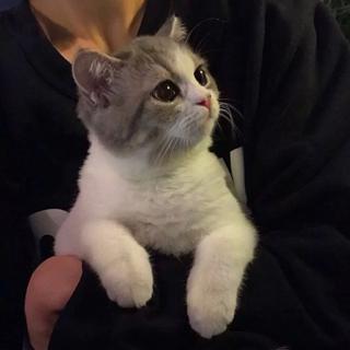 好听不会腻demo系列