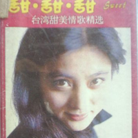 唢呐电子琴伴奏-C调-你潇洒我漂亮