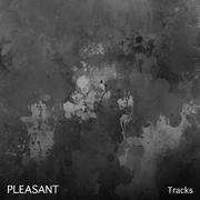 #20 Pleasant Tracks for Meditation and Yoga