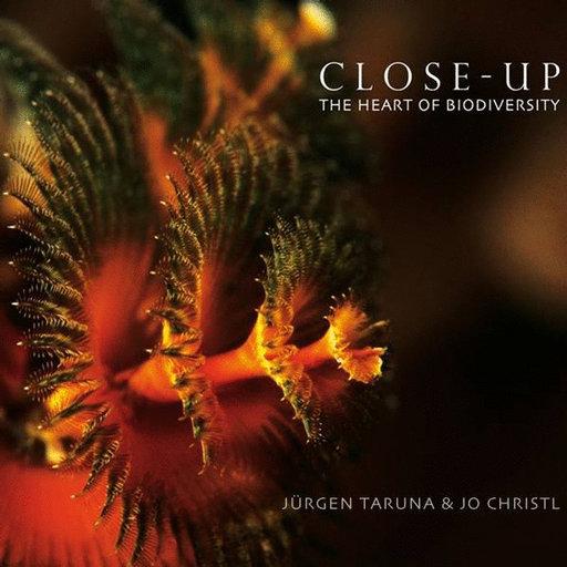 Close Up EP