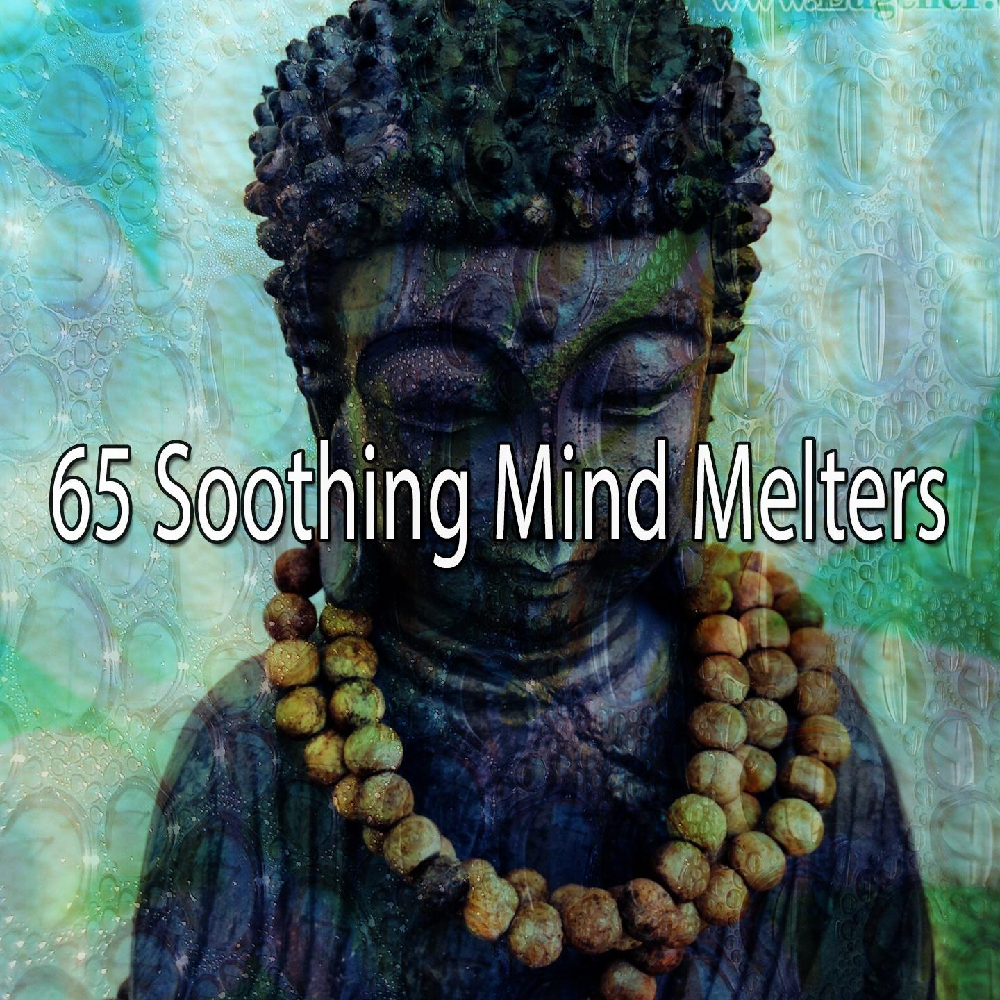 65 Soothing Mind Melters专辑